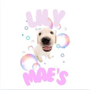 Meet your Posher, Lily